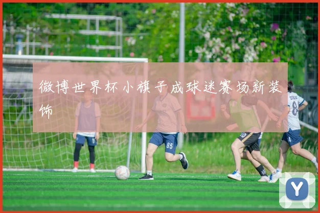 微博世界杯小旗子成球迷赛场新装饰