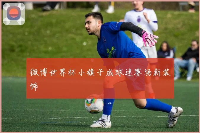 微博世界杯小旗子成球迷赛场新装饰