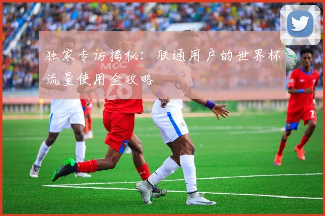 独家专访揭秘：联通用户的世界杯流量使用全攻略
