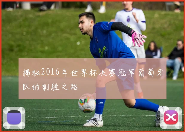 揭秘2016年世界杯决赛冠军葡萄牙队的制胜之路