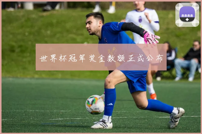 世界杯冠军奖金数额正式公布